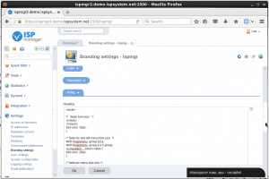 ISPManager pasting css in header section of branding settings