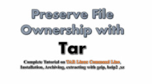 tar-preserve file ownership