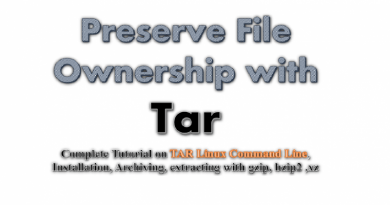 tar-preserve file ownership